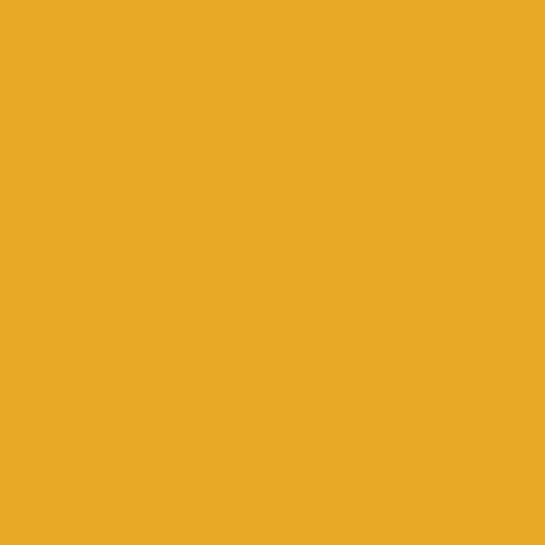 AG PE Turmeric