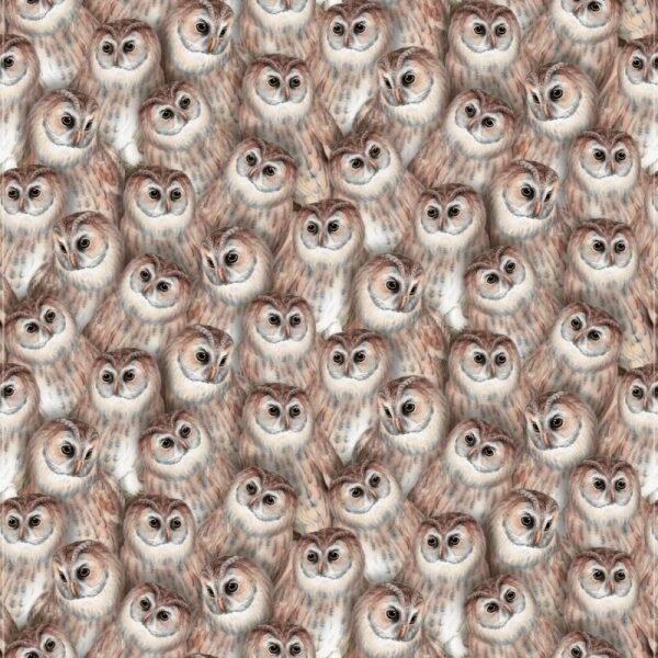 Night Owls