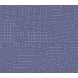 AG Phonograpic Grids, bit 50cm