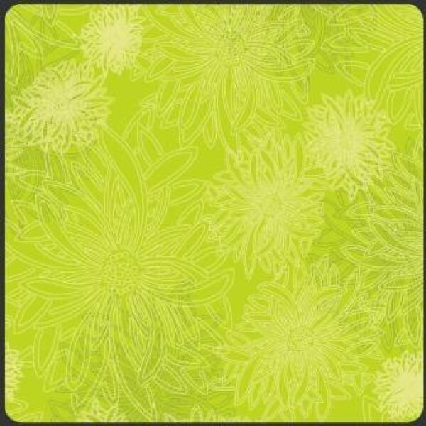 AG FE Kiwi