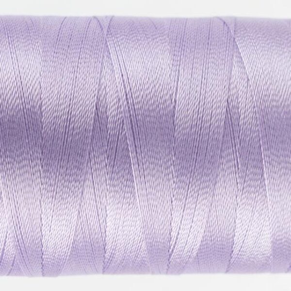 Splendor R-5104 Lupine