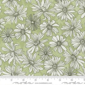 Cornflower Pistachio -Garden Society