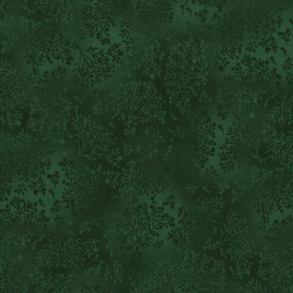 Fusions Moss