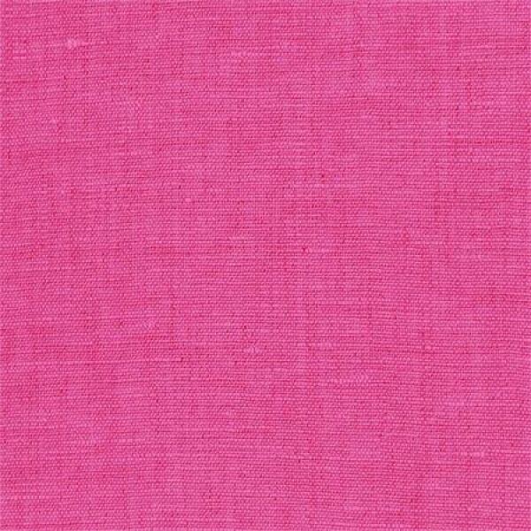 Lin Fuksia