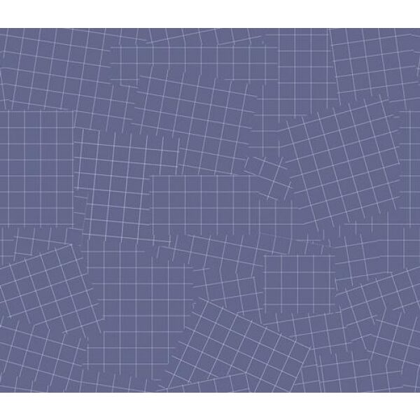 AG Phonograpic Grids, bit 1m
