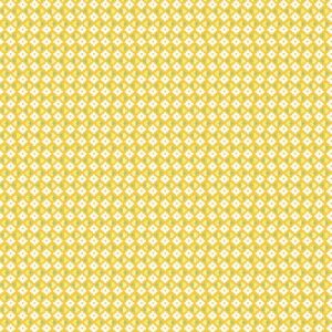 Jane's Apron - Yellow Fabric