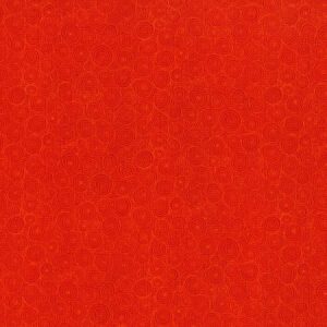 Hopscotch Intertwining Puddles, Tomato