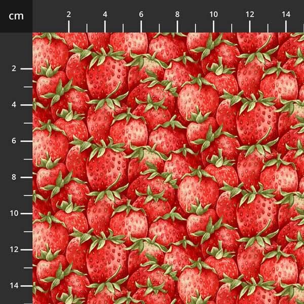 Jordbær tett i tett, bit 45 cm.