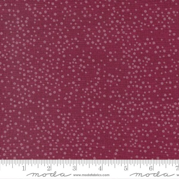 Tulip Tango Dotty Cranberry